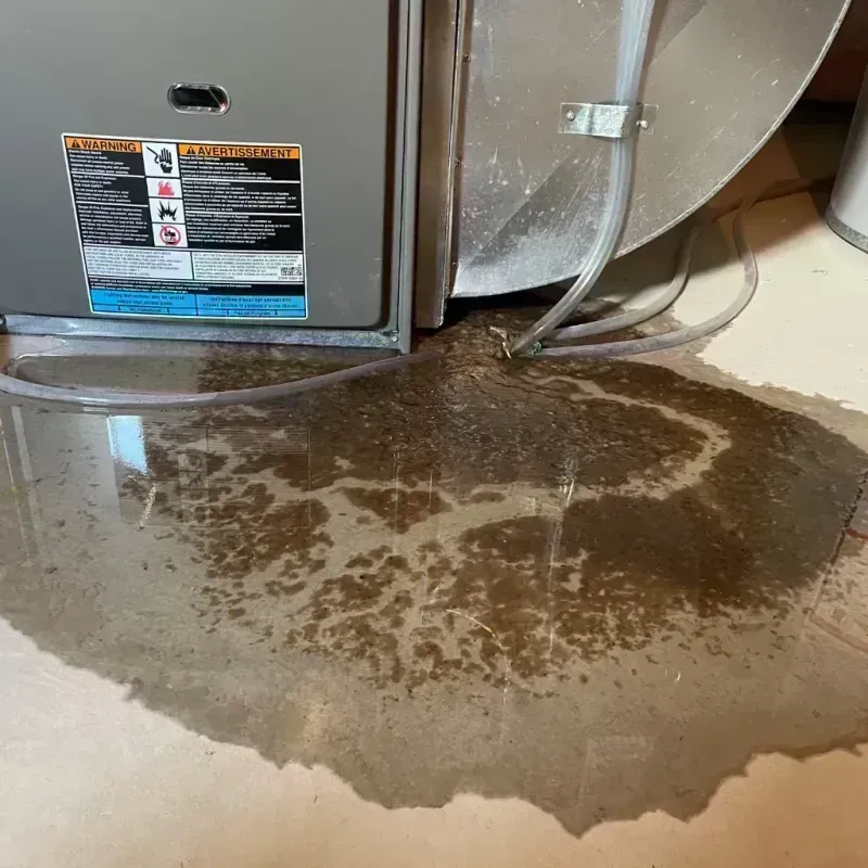 Appliance Leak Cleanup in Orchard City, CO